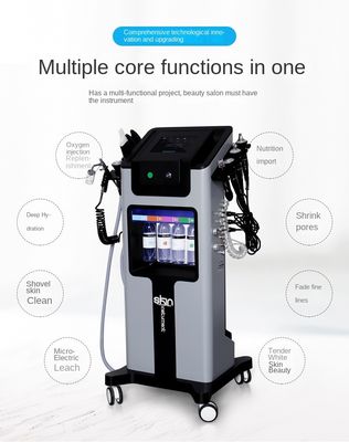 Skin Management Comprehensive Instrument Large Bubble Beauty Instrument Small Bubble Oxygen Injection Instrument Beauty
