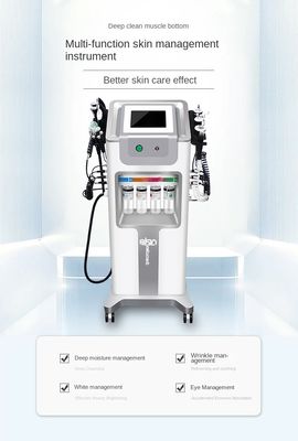 Skin Management Comprehensive Instrument Large Bubble Beauty Instrument Small Bubble Oxygen Injection Instrument Beauty